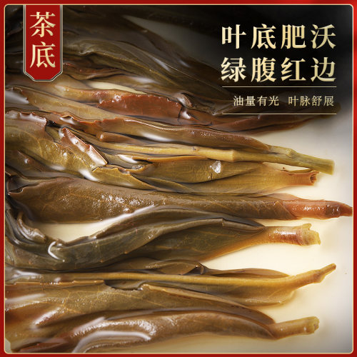 鸭屎香凤凰单枞茶特级春茶大乌叶潮州高山浓香型新茶凤凰单丛500g - 图3