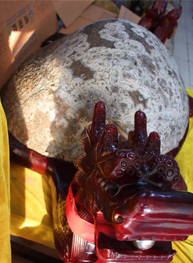 龙龟玛瑙原石红花梨底座厅堂摆件