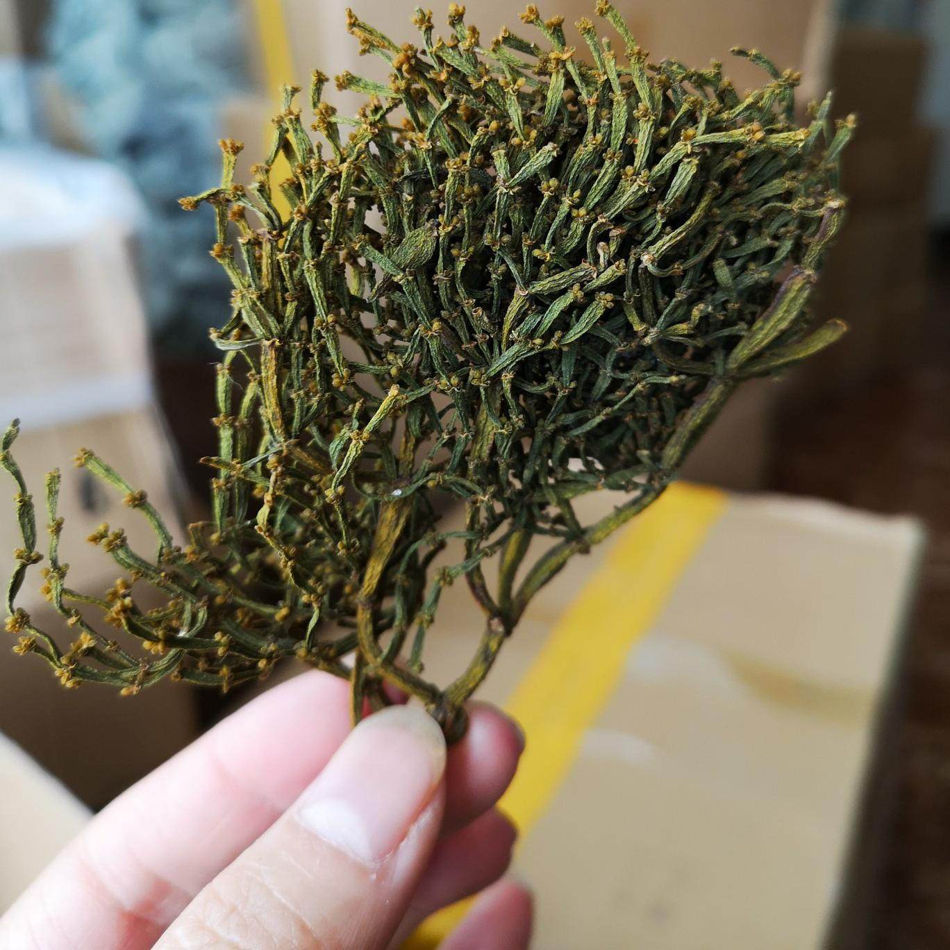 普洱景迈古树螃蟹脚云南特产香气足回甘甘甜味道纯正纯料春茶批零,淘宝优惠券,粉丝福利购,淘宝优惠卷