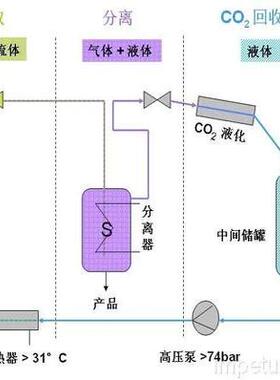 生姜油姜辣素50超临界单方精油50毫升老姜云南小黄姜泡脚肩颈按摩