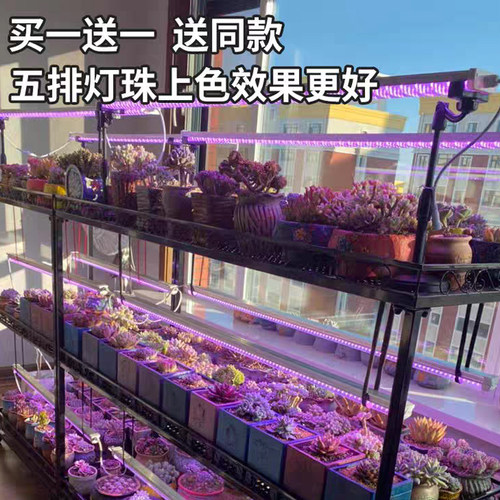 正阳全光谱led多肉补光灯家用上色快防徒长仿太阳光花卉植物生长 - 图0