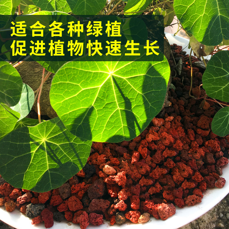 腾冲天然火山石颗粒土兰花多肉透气铺面专用土火山岩石鱼缸50斤,淘宝优惠券,粉丝福利购,淘宝优惠卷