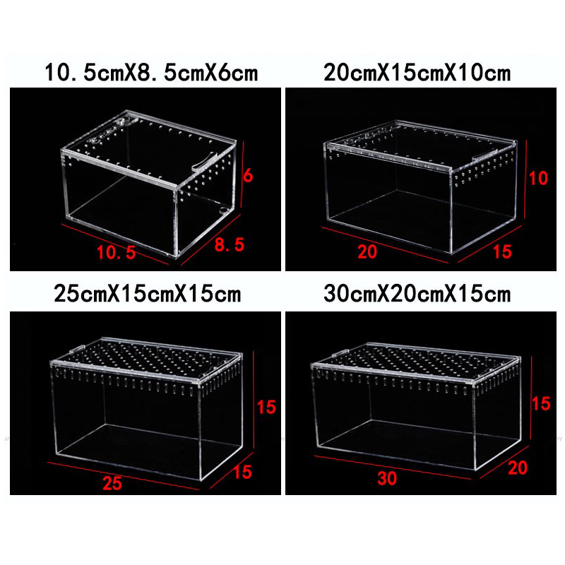 高透明亚克力饲养盒一体成型昆虫饲养箱蜘蛛蝎子蛇甲虫饲养盒-图0
