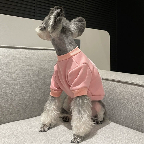 泄 澶忛 绾 ﹀ ﹀ ﹀ 憺 憺 湇 湇 湇 忕嫍 镫 鍝 鍝 鍝 ユ硶鏂 楁 ユ硶鏂 楁 杩 杩 鐗 ╃ 掑 帤 夎 灏 忕 忕 唺 鍗 鍗 鍗 鍗 帤 夎 灏 忕 唺 鍗 鍗 鍗 鍗 鍗 帤 夎 灏 唺 鍗 鍗