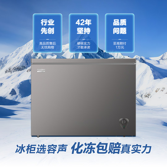 Rongsheng 300L Freezer 20% off Subsidy Available to Everyone