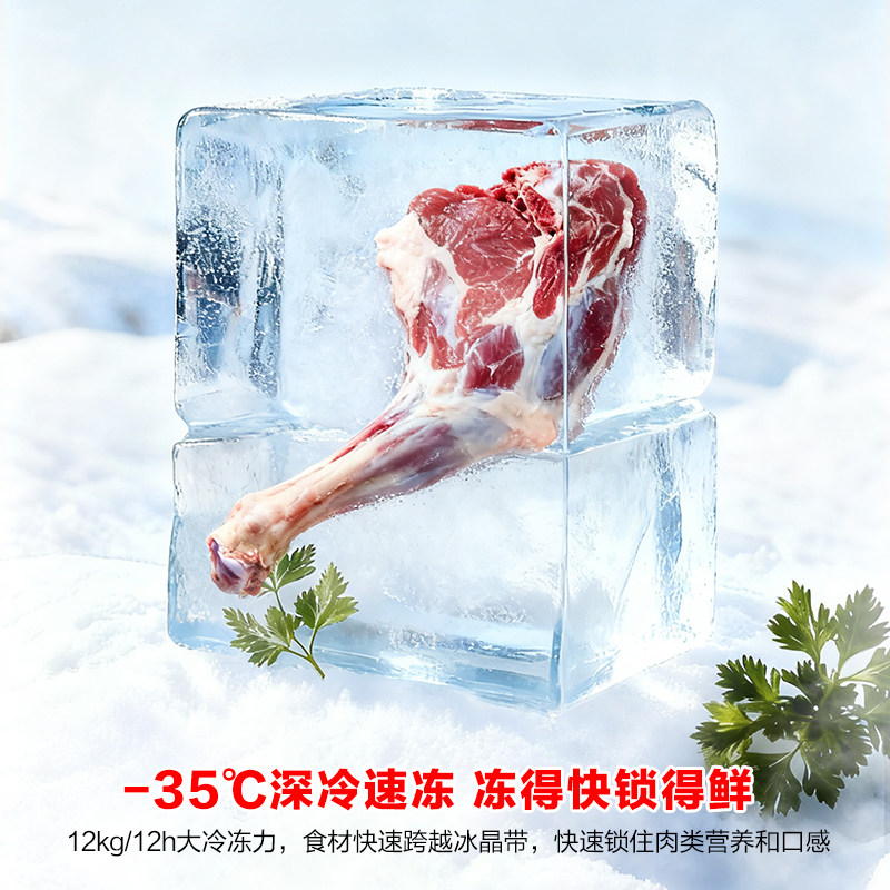 容声300升冰柜大容量家用商用冷柜一级能效节能减霜冷藏冷冻冰箱