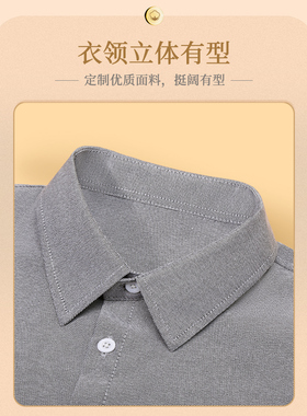 上班工作装衬衫假衣领