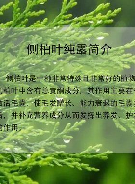 侧柏叶纯露纯植物提取液控油湿敷水搭配迷迭香精油头发更好