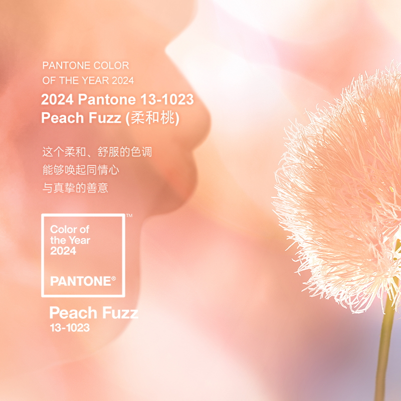 Pantone潘通2024 年度代表色大型 TPG 纸版色卡, 13-1023 Peach Fuzz柔和桃服装，家居 + 室内装潢纸版色卡 - 图3