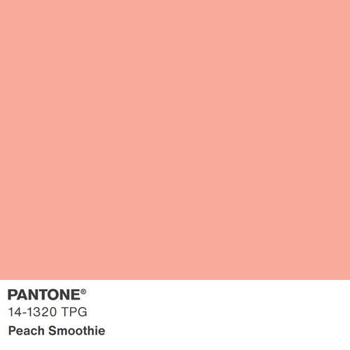 2024新版色彩 13-1307TPG 至 14-3512TPG 大型TPG纸版色卡 TPG单张色卡Pantone潘通服装家居色卡 - 图0