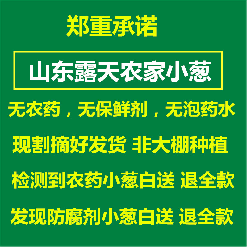 山东新鲜小葱头茬烧烤蘸酱生吃现割现发特产当季蔬菜无根小香葱苗 - 图0