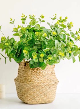 尤加利绿植园艺插花仿真草