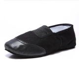 红舞鞋 Мужчины и женщины классические танце