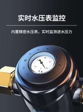 前置反冲洗管道中央全屋净水器