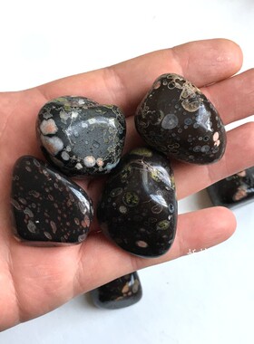 标本鱼缸花盆造景观赏石手把玩