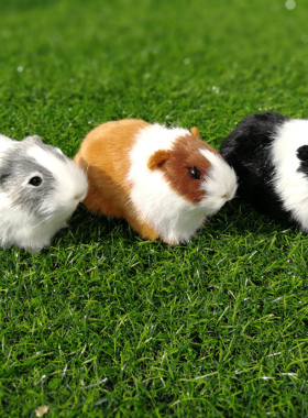 橱窗摆件客厅摆件教学仿真动物