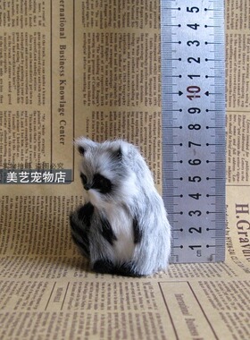 儿童教学模具生态挂件仿真圣诞树