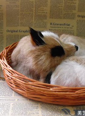 仿真动物狐狸模型摆件皮毛