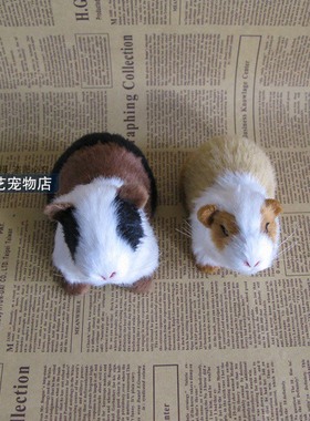 教学动物仿真模型