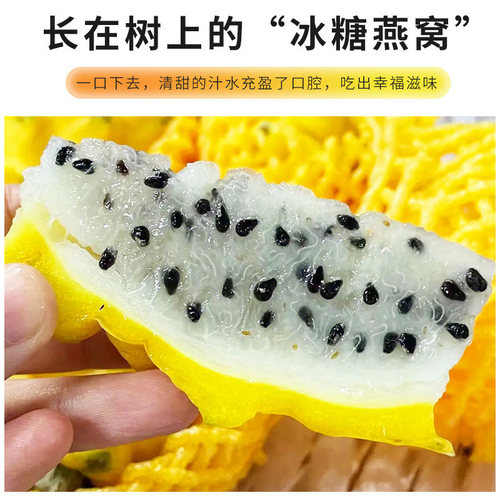 《送礼精品》海南燕窝果5斤大果礼盒装新鲜白心火龙果顺丰包邮 - 图1