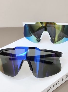 户外骑行太阳眼镜女防风护目镜男士登山运动大框墨镜防强光紫外线