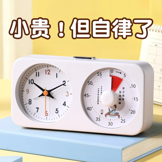 Visual time management timer