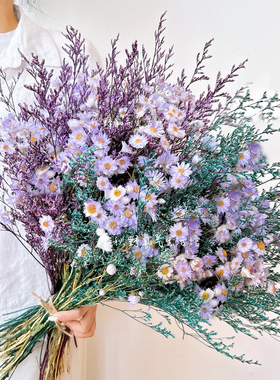 小雏菊天然真花鲁丹鸟情人草干花花束梦幻彩色家居插花装饰摆件