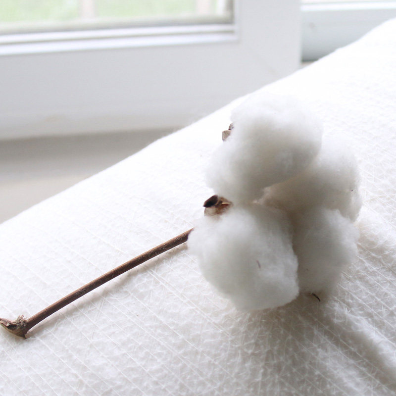 新疆棉被棉絮床垫加厚保暖褥子冬被棉花被被芯被褥儿童幼儿园被子,淘宝优惠券,粉丝福利购,淘宝优惠卷