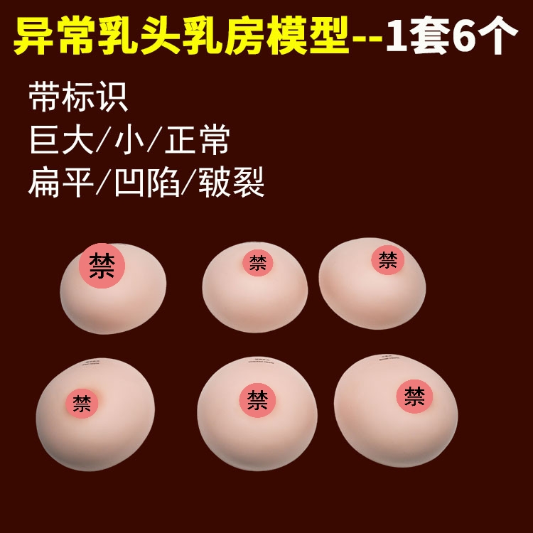 母乳喂养宣传教具 母亲假乳房模型 医院产科宣传带挂绳布乳房道具 - 图2