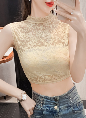 网纱蕾丝脖立领百搭蕾丝花边