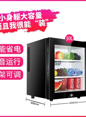 绿零2展示柜冷藏小型小冰箱