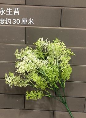仿真青苔植物苔藓草白发藓草丛绿植造景生态园林橱窗摆放植物墙