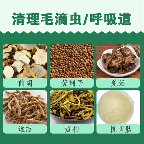 Ганноверское лекарство для голубей взлетает в небо, специальное голубиное лекарство от трихомонады в верхних и нижних дыхательных путях голубей, таблетка два в одном, неголубиное лекарство