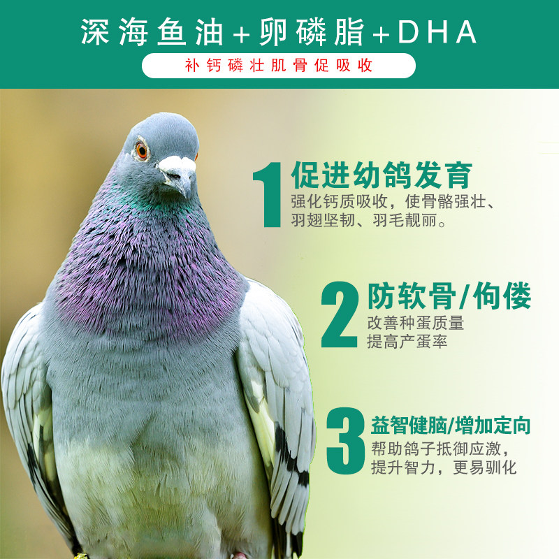汉诺威鸽业氨维鱼肝油鸽用补维生素氨基酸磷钙信幼鸽子营养保健品,淘宝优惠券,粉丝福利购,淘宝优惠卷