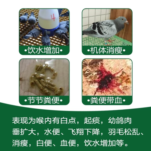 Флагманский магазин Hannover Pigeon Medicine Drop Ball Soukang Порошок для гоночных голубей Специальная коллекция препаратов для голубей для очистки от кокцидий и трихомонады