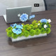 Conference table with flowers and green plants in the middle of the long table in the conference room