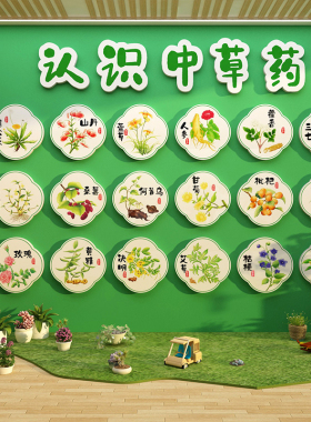 中草药医馆标本展示氛围布置幼儿园墙面装饰文化环创形象贴纸挂画