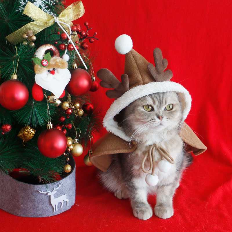 猫咪狗狗圣诞斗篷披风冬季保暖披肩睡袍可爱宠物新年搞怪衣服拍照 - 图2