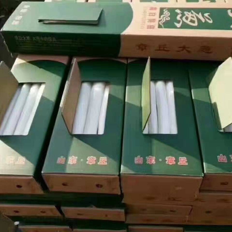 山东章丘大葱高白脆甜5斤9斤包邮礼盒生吃蘸酱精选葱王特级 - 图1