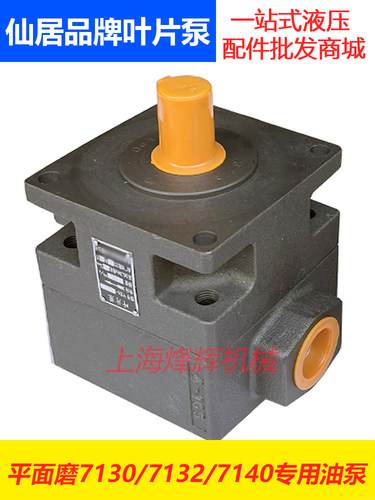 YB1-100叶片泵平面磨床油泵仙居泵压力泵仙居液压件公司 - 图1
