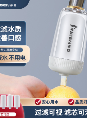 净恩水龙头净水器家用过滤器