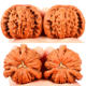 Wenwan walnut three-edge Daben high polishing machine brushes and coats with pulp