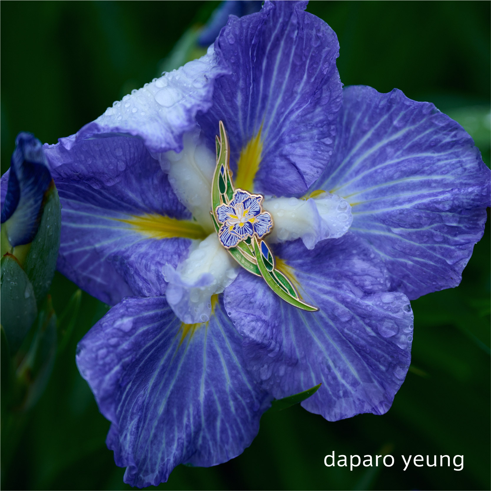 daparo达普罗鸢尾花胸针设计师高档女男衣服配饰节日礼物春季胸花 - 图0