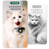 Happy Pet без долины белой мясной рыбы, кошки, кошки и котят, естественные жирные кошки Основная еда 1 кг