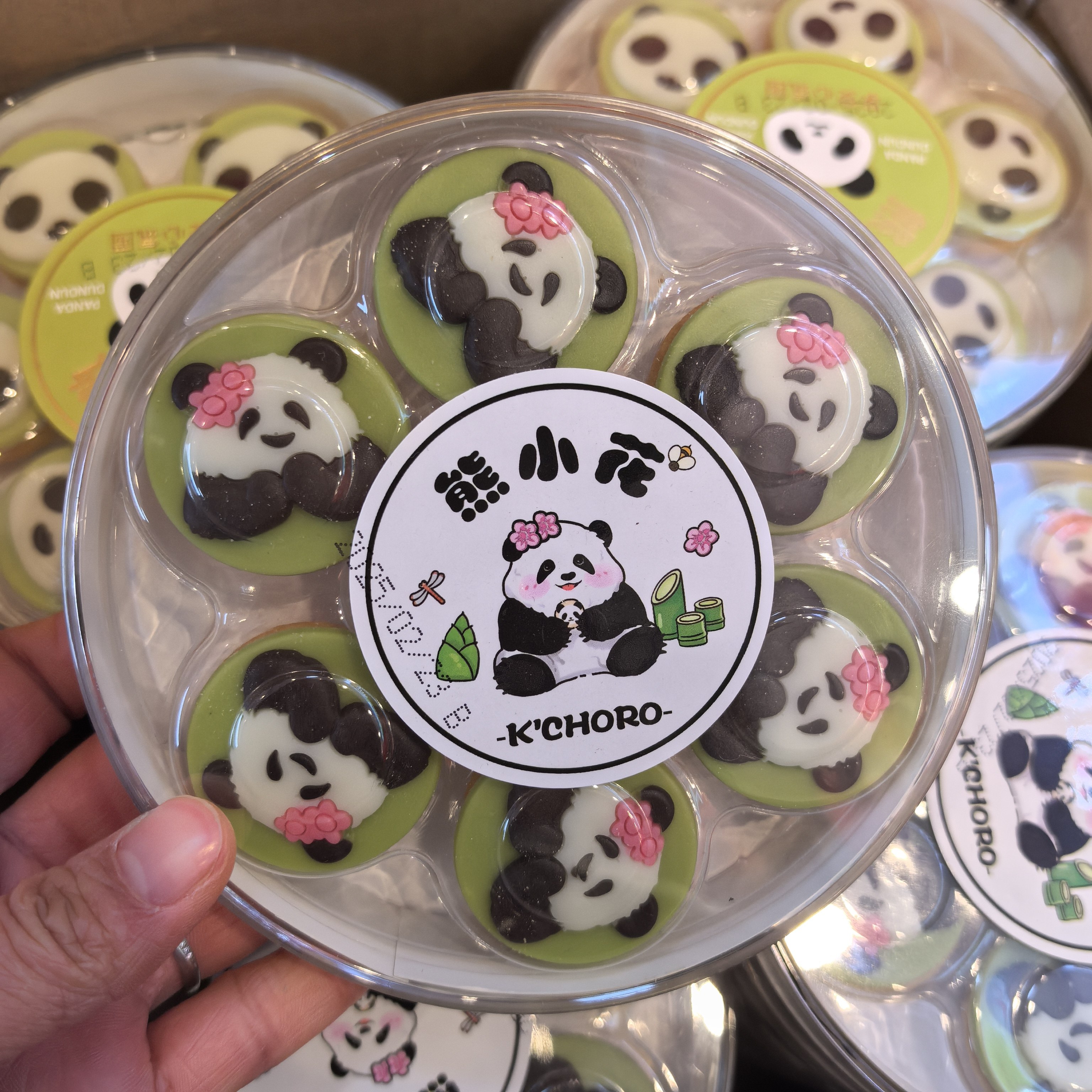 熊猫墩墩卡通巧克力*2盒礼盒四川特产儿童零食伴手礼生日礼物,淘宝优惠券,粉丝福利购,淘宝优惠卷