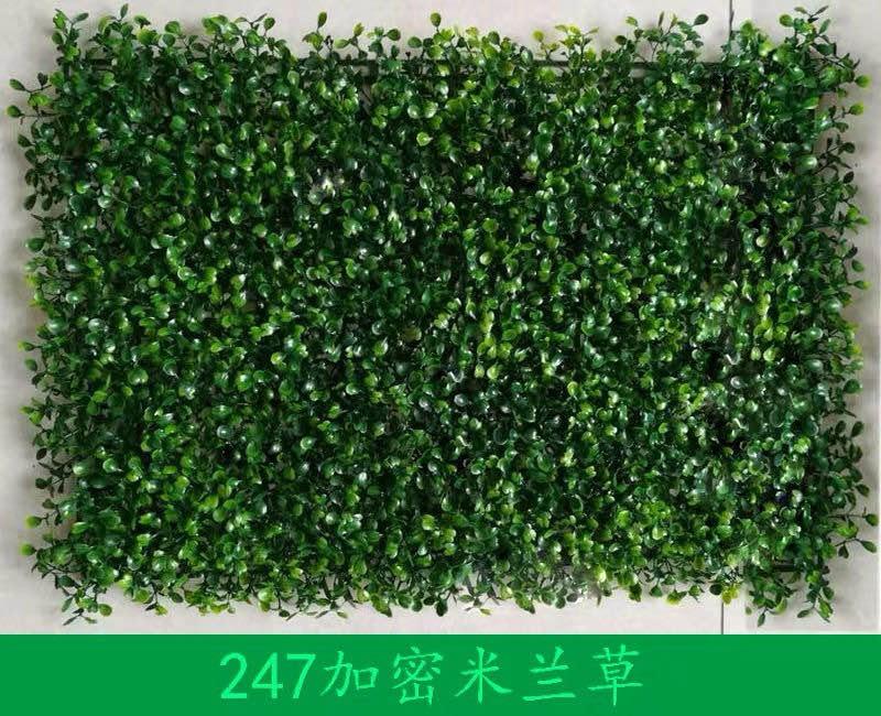 仿真植物绿植背景墙绿草装饰天花顶墙壁绿化塑料假草皮米兰草坪-图3