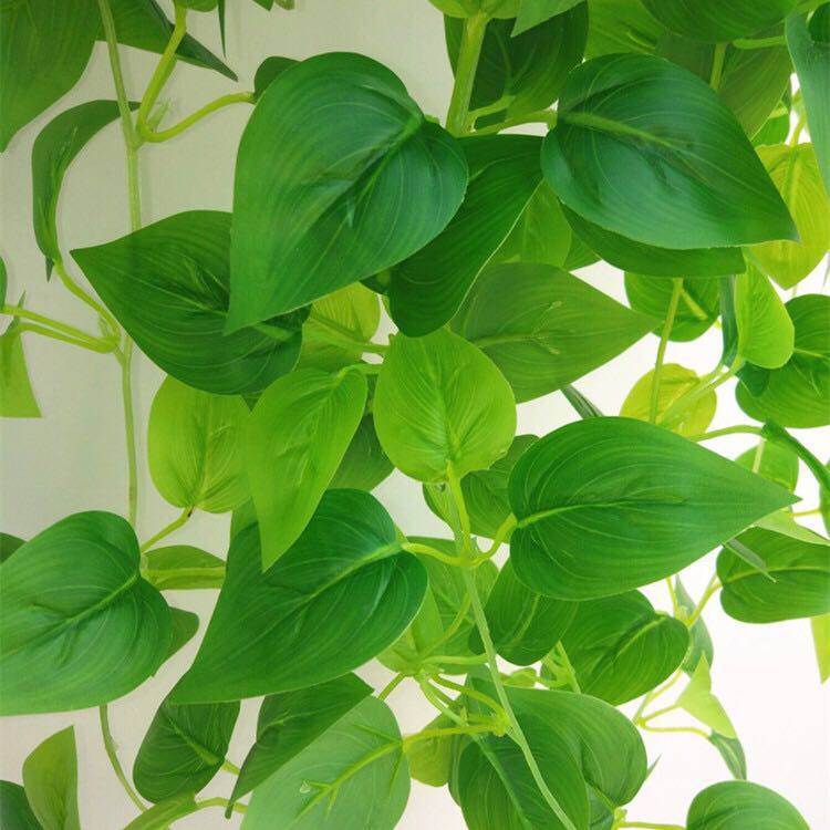 仿真绿萝植物假绿叶吊兰装饰壁挂藤条叶子塑料室内吊篮挂墙假花藤,淘宝优惠券,粉丝福利购,淘宝优惠卷