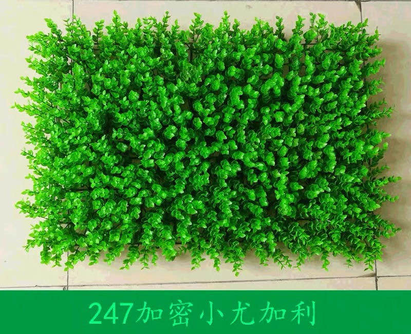 仿真植物绿植背景墙绿草装饰天花顶墙壁绿化塑料假草皮米兰草坪-图2