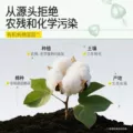 【买1送1】自由点超薄有机纯棉卫生巾日夜用组合装少女姨妈巾套装 图片 4