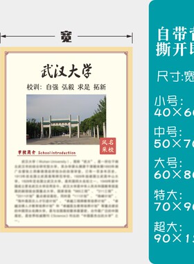教室装饰励志墙贴世界中国十大名校简介班级布置海报目标大学挂图